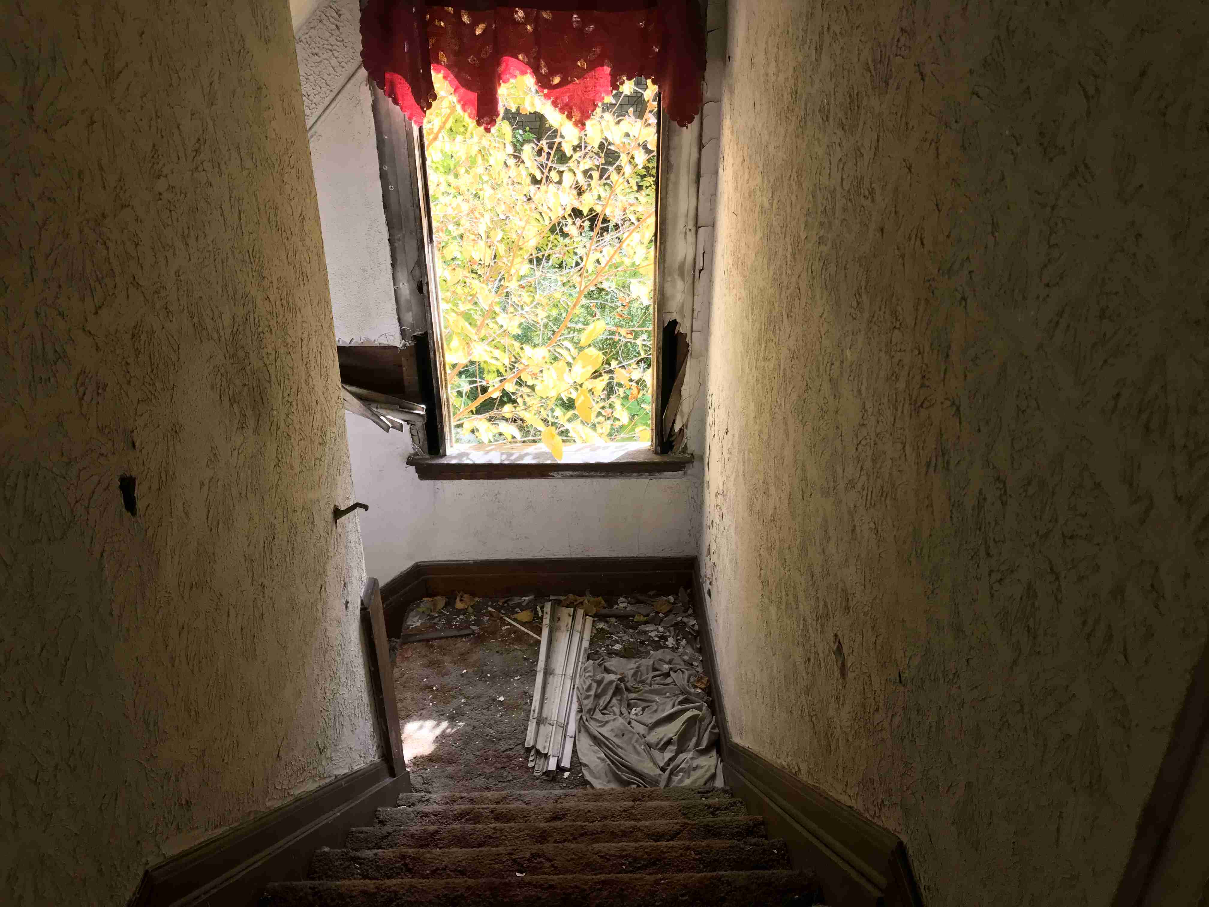 Photo Oct 13, 1 58 09 PM (1).jpg